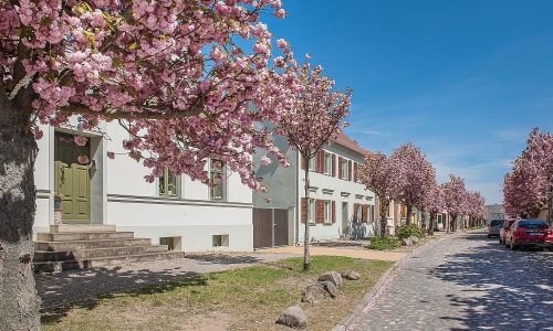 Bild_3_Lindenstr_001_2021